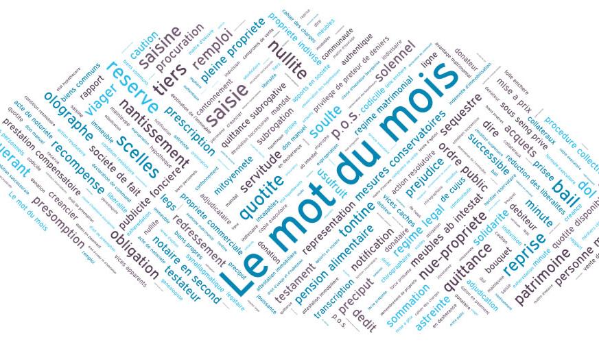 LE MOT DU MOIS : les émoluments