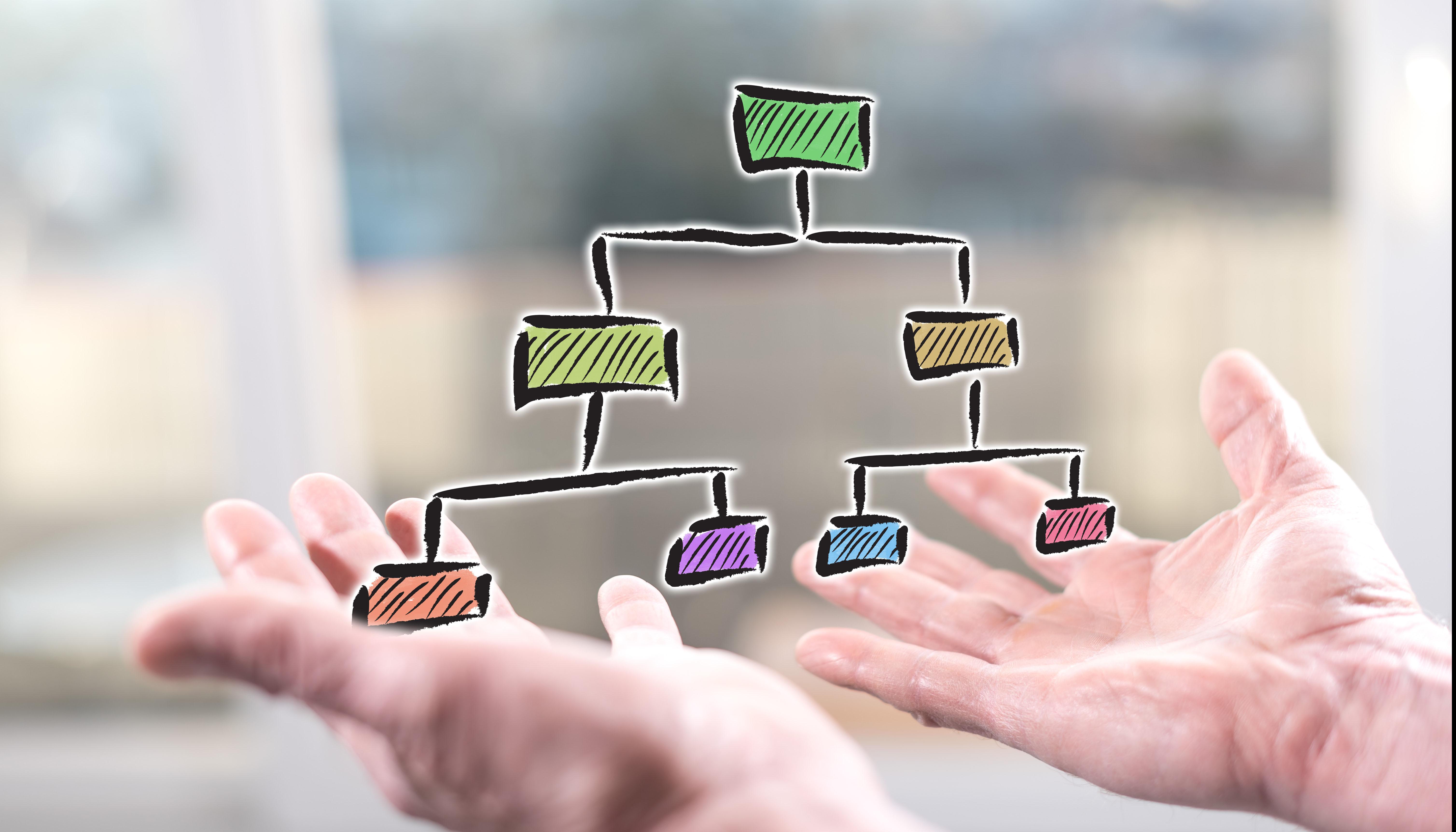 organigramme