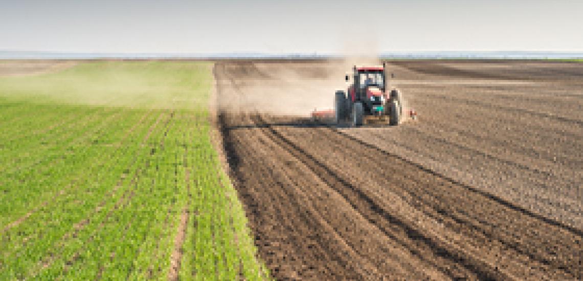 agriculture